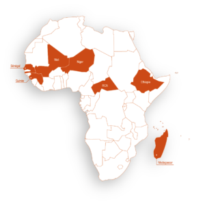 Nos projets en Afrique